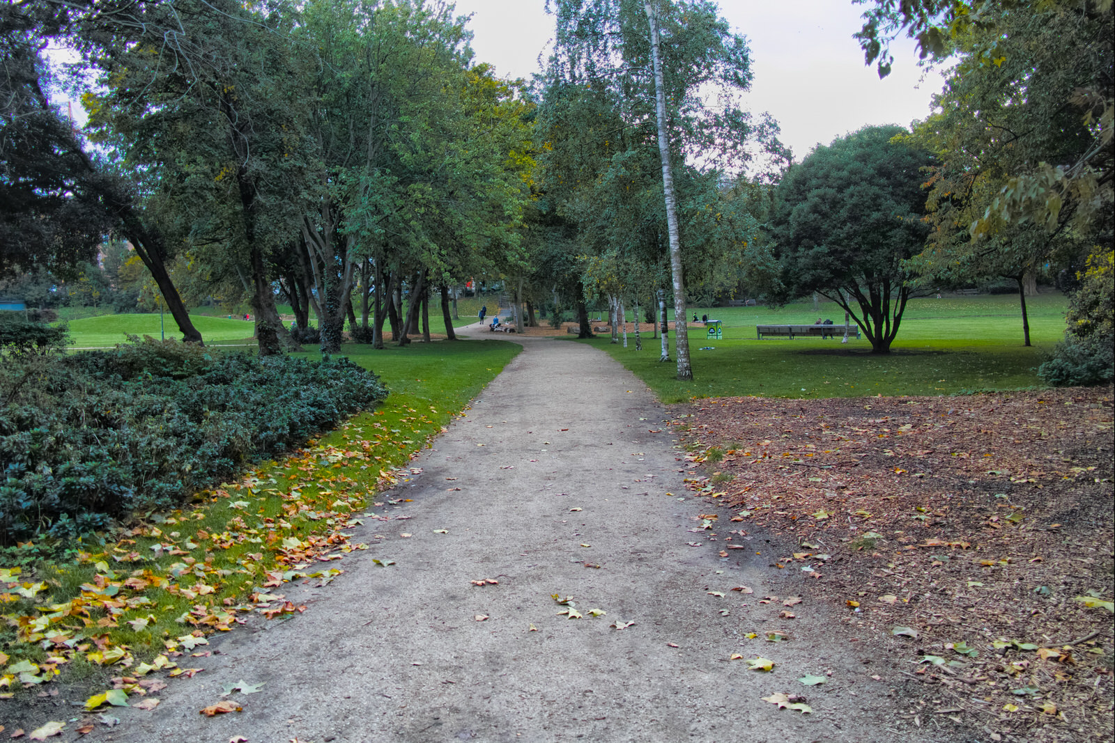 6-october-2020-visit-to-merrion-square-public-park